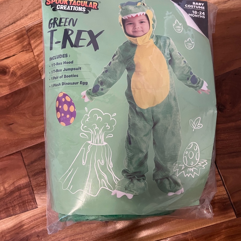 Green T-Rex Kids Costume